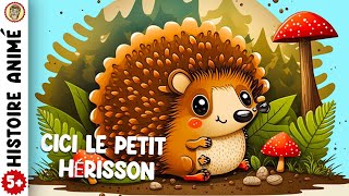 HISTOIRE POUR DORMIR pour enfant Sendormir FACILEMENT quot Cici Le Petit Hérisson quot [upl. by Liew108]