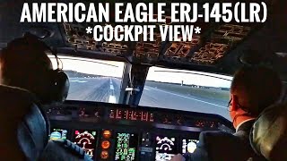 American Eagle ERJ145LR N602AE Cockpit Marquette to Chicago  FERRY FLIGHT [upl. by Einnod]