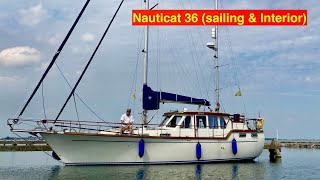 Nauticat 36 sailing and interieur year 2022 [upl. by Cortie]