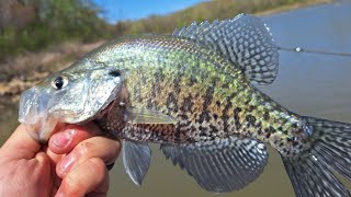 CRAPPIE FISHING WITH SLIP BOBBERS  in the SPRING [upl. by Navanod]