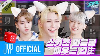 스키즈 마블로 배우는 인生 1｜SKZ CODE Ep04 [upl. by Hamann]