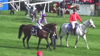 2017 香港ヴァーズ ハイランドリール 高地之舞 Hong Kong Vase Highland Reel [upl. by Alekat2]