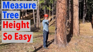 How to Measure the Height of a Tree  Simple [upl. by Lenrow191]