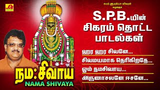 நமசிவாய நமசிவாய பாடல்  Namasivaya Song Subam AudioVision shivansongs devotionalsong spbsongs [upl. by Mohr211]