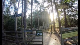 Walking Tour of Sherwood Forest  Center Parcs [upl. by Fokos]