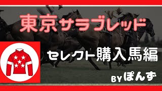 【東京サラブレッドクラブ】セレクトセール購入馬考察 [upl. by Enelrihs]