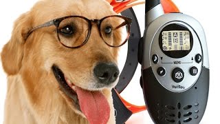 PetSpy 1100 Yard Waterproof Rechargeable Remote Training Dog Collar with Beep Vibration [upl. by Bensen]