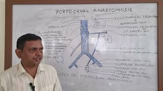 PORTOCAVAL ANASTOMOSIS PORTOSYSTEMIC ANASTOMOSIS ABDOMEN ANATOMY [upl. by Nelleeus492]