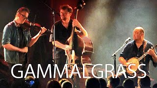 GAMMALGRASS  NATTJAZZ [upl. by Kermy717]