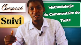 La méthodologie du commentaire de texte [upl. by Helyn]