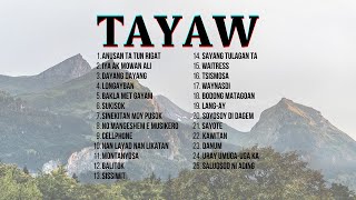 Tayaw Compilation [upl. by Hartmunn]