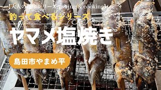 静岡島田市やまめ平のヤマメを釣って刺身と塩焼きを楽しむ [upl. by Basilius]