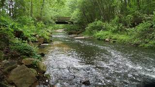 10 hours Babbling Brook Sounds Of Nature no ads ASMR forest water flowing [upl. by Haldas823]