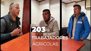 Programa de Trabajadores Agrícolas Temporales MéxicoCanadá ha enviado a más de 500 mil personas [upl. by Dupuis]