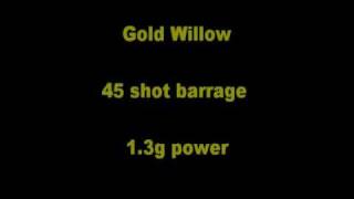 Epic Fireworks  Gold Willow 45 Shot Barrage [upl. by Ekud194]