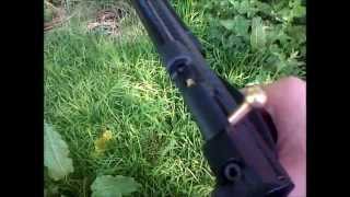 Crosman Ratcatcher 2250B [upl. by Hamlen]