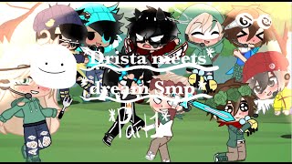 Drista meets the Dream Smp part 1 a bit of DNF [upl. by Knipe]