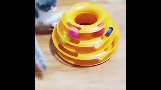 Brinquedo Torre com Bolinhas para gatos [upl. by Nywroc]