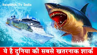 दुनिया की सबसे खतरनाक शार्क  Megalodon The Monster Shark  Megalodon Sharks still lives [upl. by Jase135]