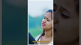 Nirupai ।। Purulia New Sad Song 2024 shorts​ youtubeshorts [upl. by Ecyal]