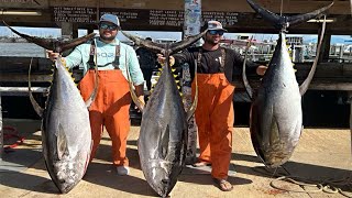 500 LBS in 30 MINUTES  EPIC Tuna Catch Clean amp Cook [upl. by Akimrej]