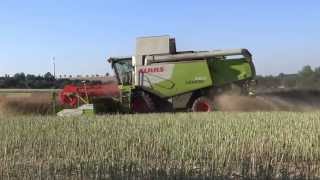 Rapsernte 2013 mit Claas Lexion 660 Fendt 820 [upl. by Aihsenak]