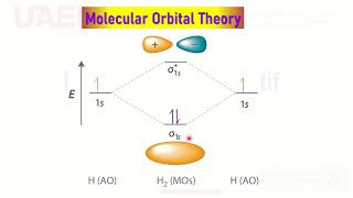 Molecular Orbital theory HomoNuclear diatomic Mol Orbital Mixing Bond Order Paramagnetic Diamagnetic [upl. by Ralleigh]