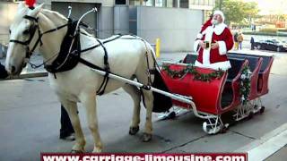 Horse Drawn Sleigh  Sleigh Rides 1  Carriage Limousine Service  Horse Drawn Carriages [upl. by Ettezil]