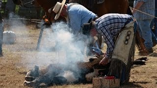 Cattle Branding [upl. by Sonja]