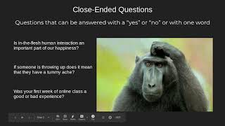 OpenEnded vs CloseEnded Questions [upl. by Dorcea]