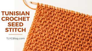 HOW TO  Tunisian Crochet Seed Stitch for Beginners [upl. by Anaihk7]