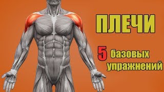 ПЛЕЧИ 5 БАЗОВЫХ УПРАЖНЕНИЙ  ОШИБКИ УБИВАЮЩИЕ ПРОГРЕСС [upl. by Ydna]