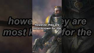 THE REAL SPACE MARINE CRUSADERS The Hospitallers  Warhammer 40k lore [upl. by Amitak]