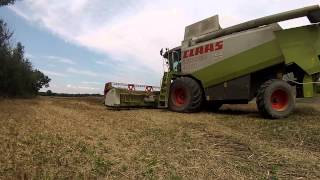 Moisson de blé 2014 with Class Lexion 480 [upl. by Airdua]