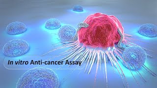 In vitro Anti cancer Assay Dr Bhushan P Pimple [upl. by Lebbie]