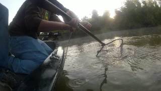 Catfishing Trotlining for Flatheads [upl. by Litch]