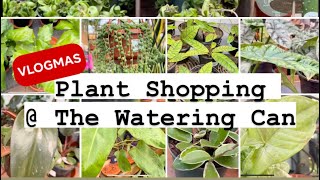 Plant shopping  The Watering Can vlogmas [upl. by Halette]