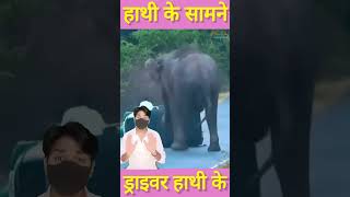 हाथी के सामने से लहरिया कट मारकर हीरोगिरी दिखाने चला था shorts elephant [upl. by Laveen944]