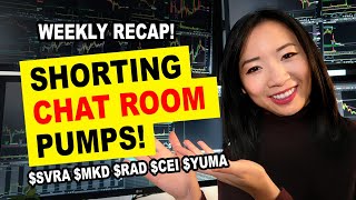 How to Buy the Dip Trading Penny Stocks SVRA MKD YUMA CEI CPST Trading Recap [upl. by Dorrahs]