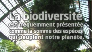 Biodiversité et interactions entre espèces Muséum national dHistoire naturelle itv Robert Barbault [upl. by Odilo152]