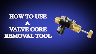 How to use a valve core removal tool [upl. by Wooldridge489]