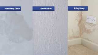 How to Find and Fix Your Damp Problems [upl. by Ensoll]