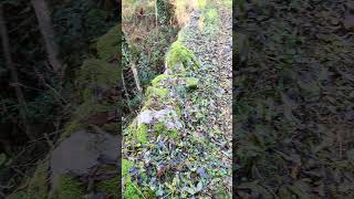 Suite randonnée labastide sur Besorgues  le volcan dAizac nature river video ardeche [upl. by Ahasuerus184]