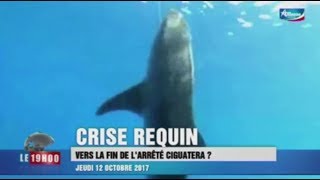 Crise requin  l’arrêté ciguatera reste en vigueur  12102017 [upl. by Annaig]