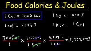 Joules Food Calories amp Kilojoules  Unit Conversion With Heat Energy  Physics Problems [upl. by Notkcorb]