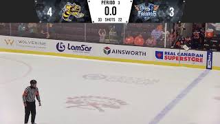 2024 Preseason  Sarnia Sting vs Flint Firebirds [upl. by Volnay]