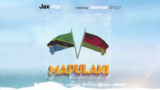 Jax platnumz X Namadingo Mapulani REMIX official Audio [upl. by Atinahs]