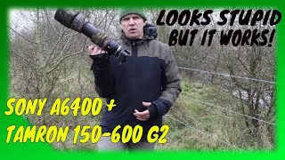 EXPLAINED How to take Wildlife Photography with the Sony A6400 and Tamron 150600 G2 [upl. by Damara463]