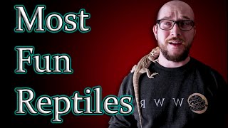 Top 5 Most FUN Interactive Reptiles [upl. by Arada34]