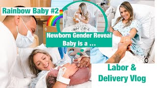 Birth Vlog Successful Vbac after emergency c section Newborn Gender Reveal Rainbow Baby 2 [upl. by Colpin]